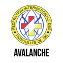 Logo del gruppo di Avalanche SIG
